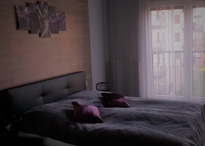 New York Rozana 19 *